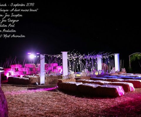 Cérémonie laïque nocturne {Cécile & Franck, 3 septembre 2016}