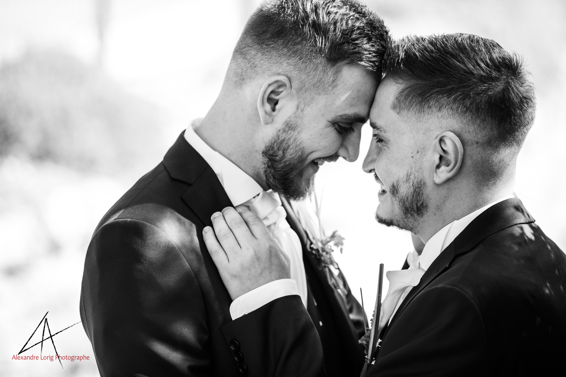 Organisation de mariage à Mirabeau {Kévin et Gilles, 13 avril 2019}